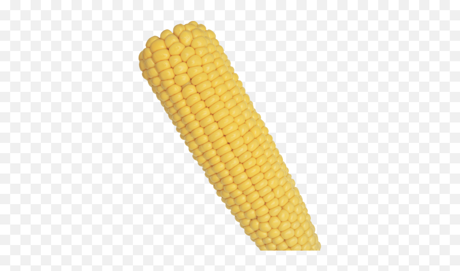 Corn - Corn On The Cob Png,Corn On The Cob Png