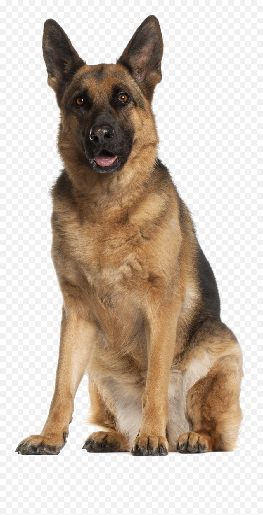 Png Images Free Download - German Shepherd Png,German Shepherd Png