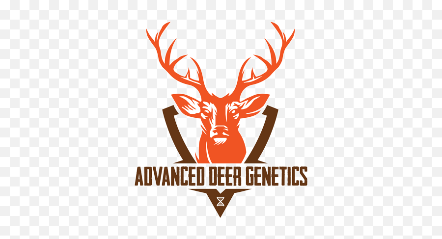 Keith Warrenu0027s Deer And Wildlife Stories - Creative Deer Logo Designs Png,Deer Transparent