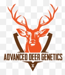 Keith Warrenu0027s Deer And Wildlife Stories - Creative Deer Logo Designs Png,Deer Transparent