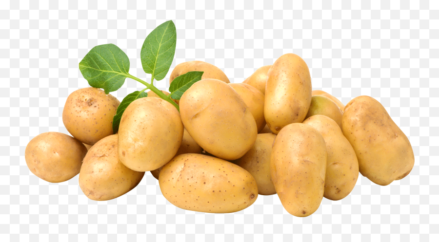 Potato Flake Suppliers Importers U0026 Exporters - Potatos Png,Potato Png Transparent