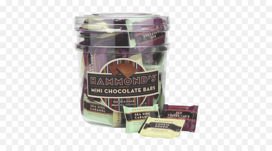 Hammondu0027s Candies - Mini Chocolate Bars Assorted Tub 53oz Types Of Chocolate Png,Candy Bars Png
