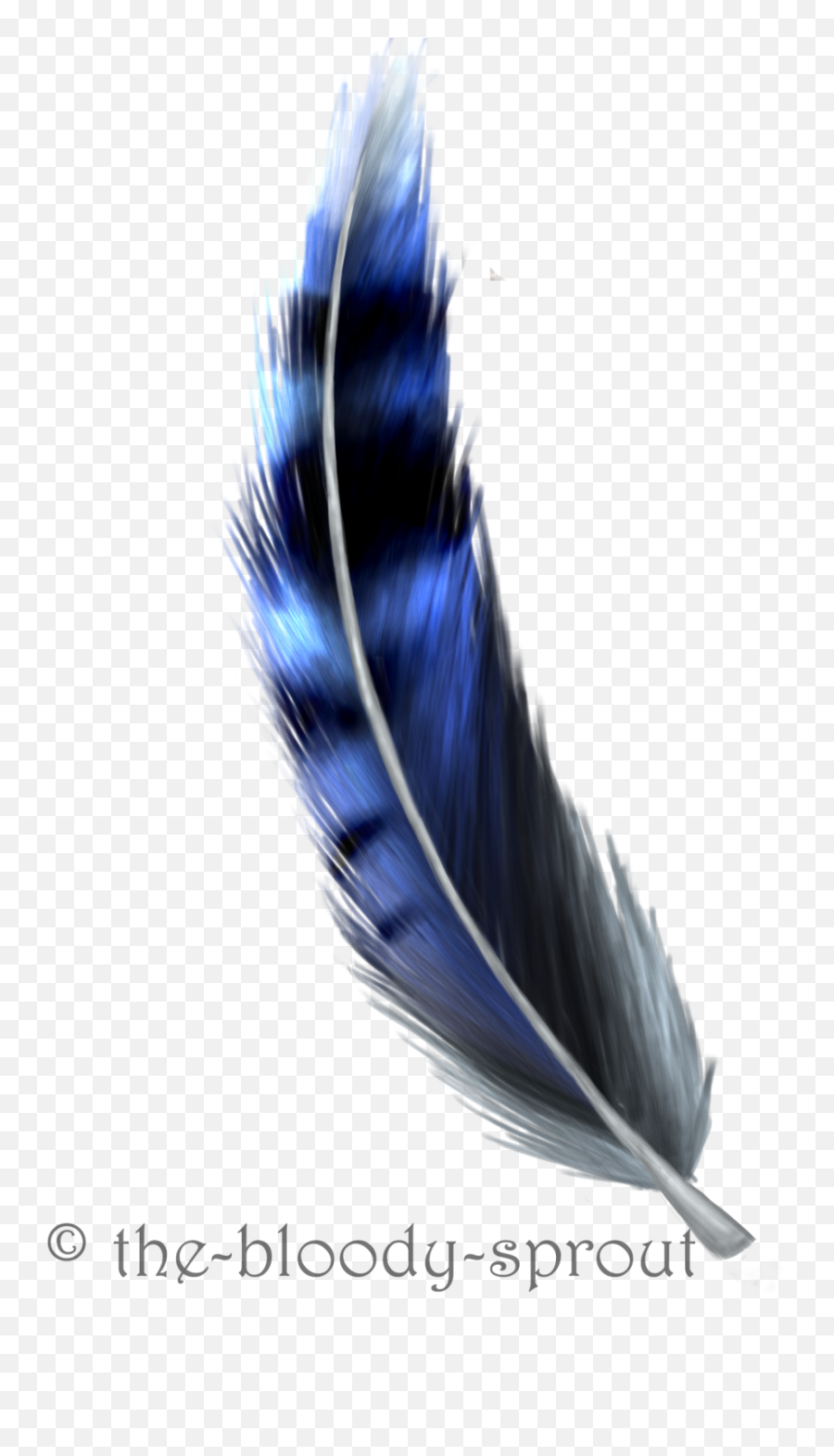 Download Blue Jay Feather Drawing - Example Of A Flyer Png,Feather Drawing Png