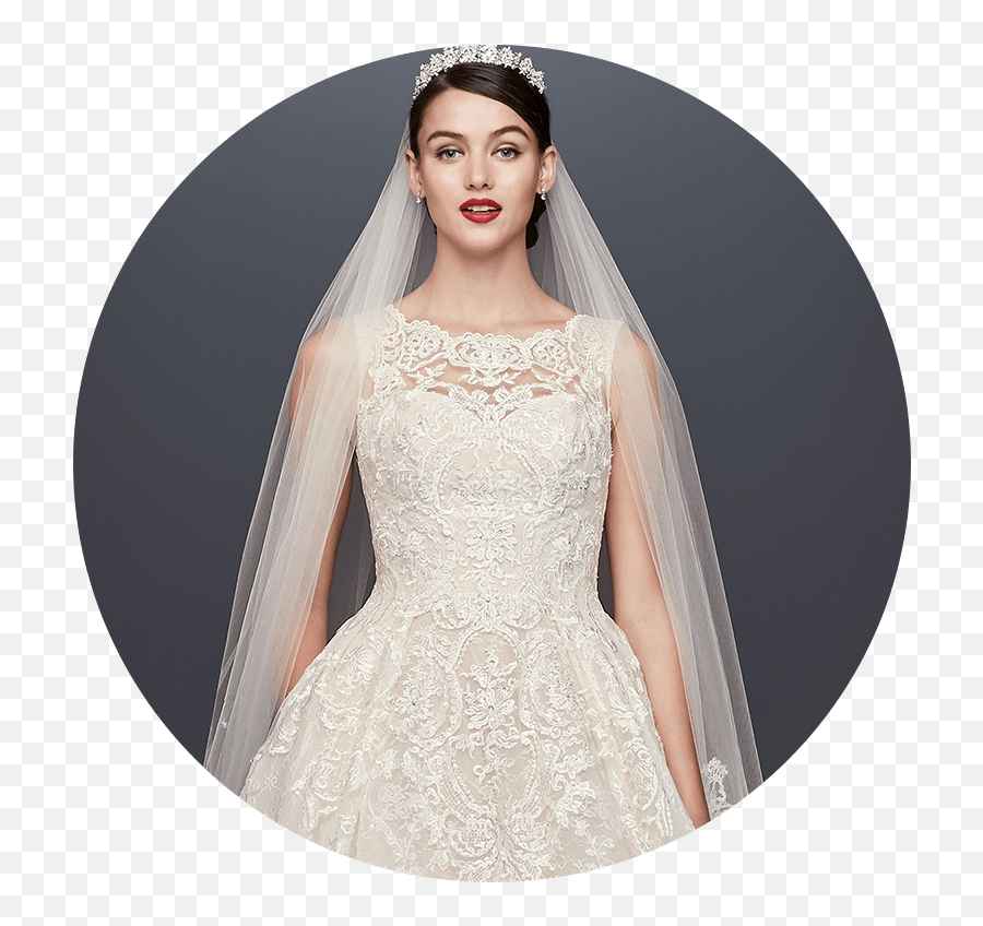 Bride Wearing Lace Petite Wedding Dress - Bride Wedding Dress Transparent Background Png,Wedding Veil Png