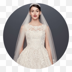 Bride Wearing Lace Petite Wedding Dress - Transparent Background png