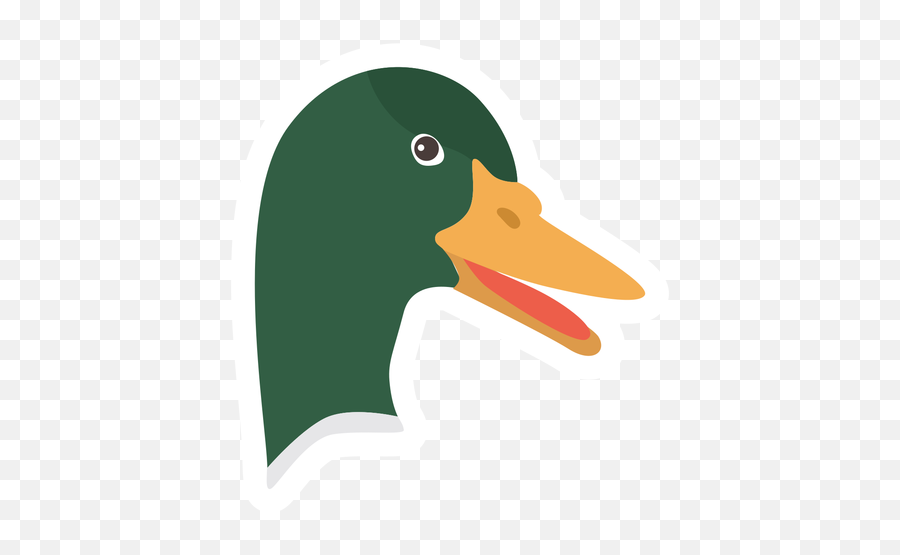 Drake Duck Wild Beak Head Flat - Pico De Pato Animado Png,Duck Transparent  Background - free transparent png images 
