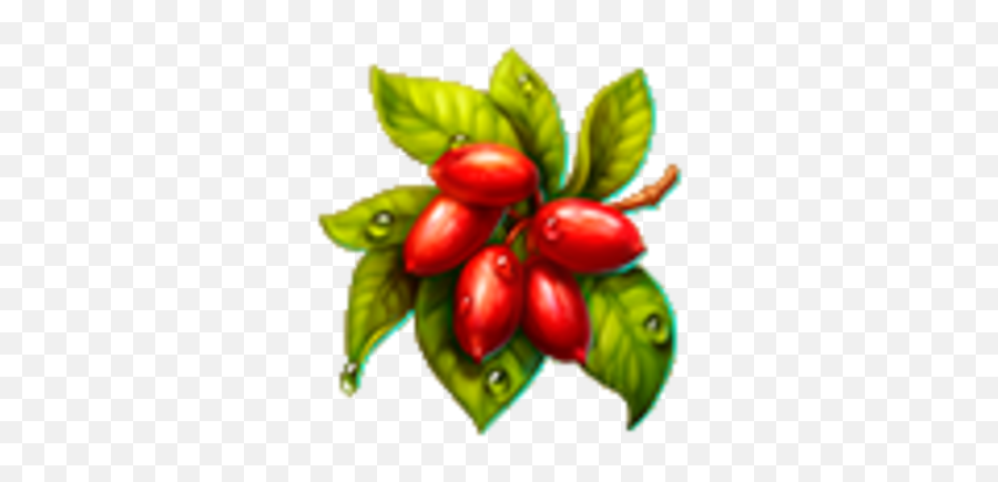 Magic Fruits Dreamfields Wiki Fandom - Lingonberry Png,Fruits Png