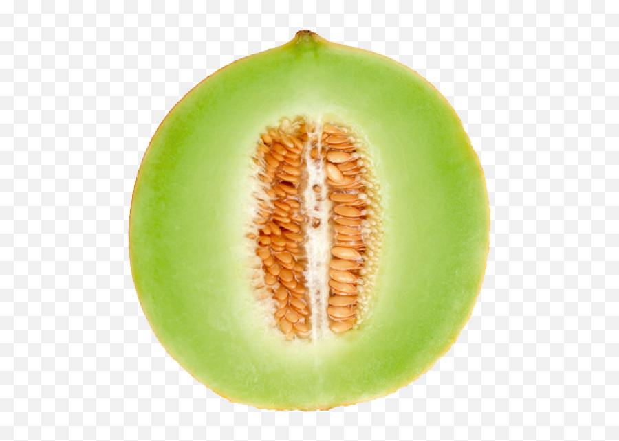 Melon Png Free Download 22 Cantaloupe