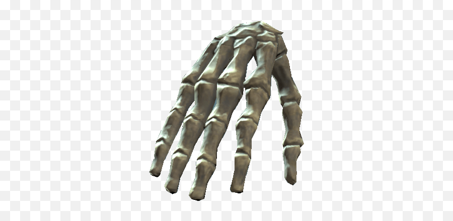 Bones Of The Right Hand Transparent Png - Bones Png,Bones Png