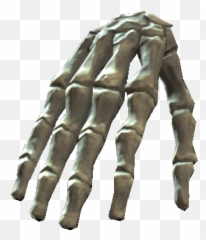 Bones Of The Right Hand Transparent Png