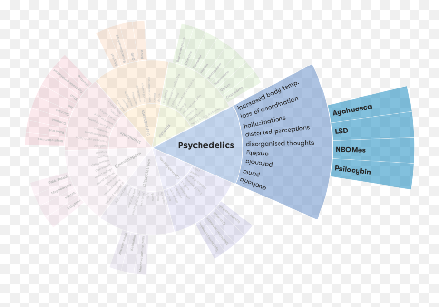 Psychedelics - Drug Wheel Png,Psychedelic Png