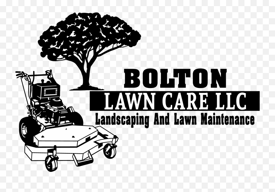 How To Fix Yellow Spots - Bolton Lawn Care Bolton Lawn Care Llc Png,Dead Grass Png