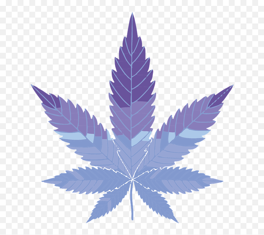 Free Photo Abstract Cannabis Weed Geometric Marijuana Blue - Silhouette Marijuana Clipart Png,Marijuana Plant Icon