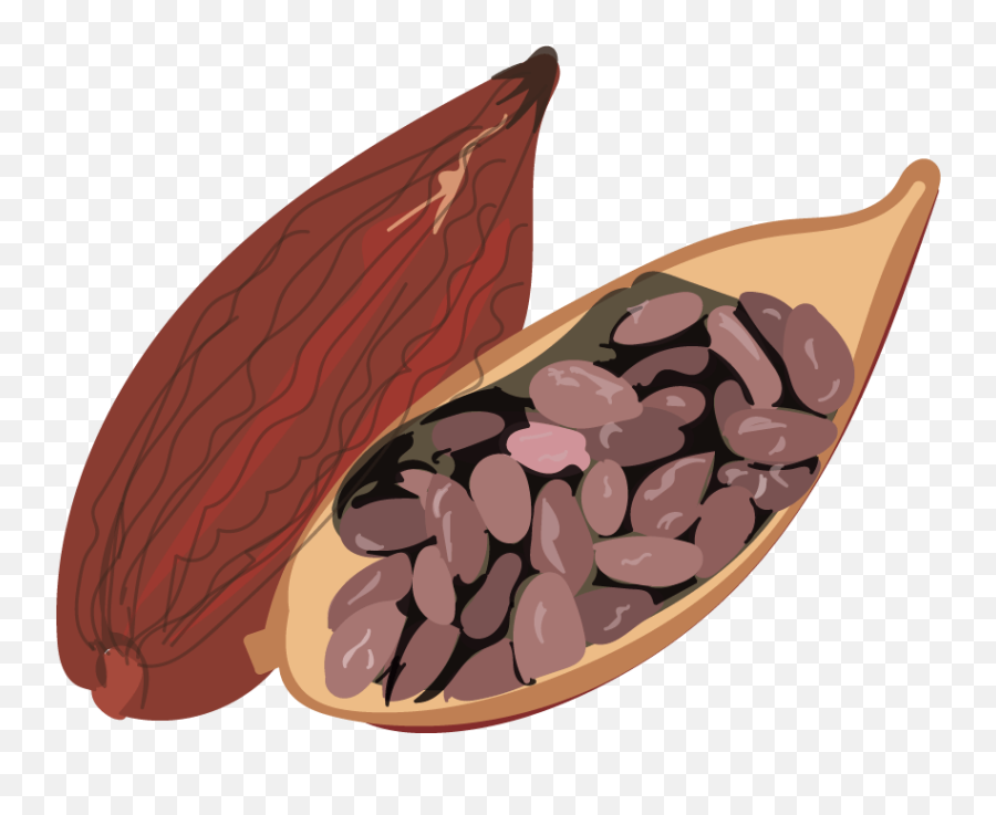 Energy Chocolate Formulated For Lasting - Superfood Png,Pile Cacao Bean Icon
