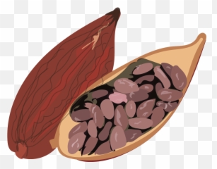 Energy Chocolate Formulated For Lasting - Superfood png
