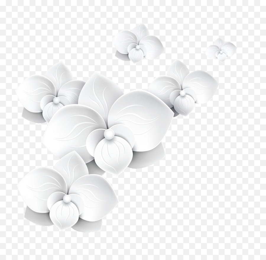 Flowers Png Transparent Images Free Download Black And White Flower