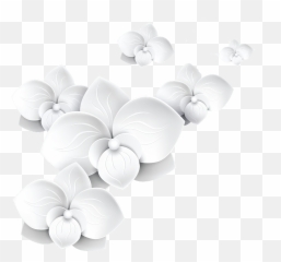 Flowers Png Transparent Images Free Download