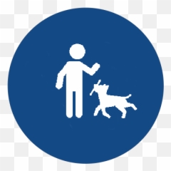 Campoverde Sparkles Pet Care Sitting Dog Walking - png