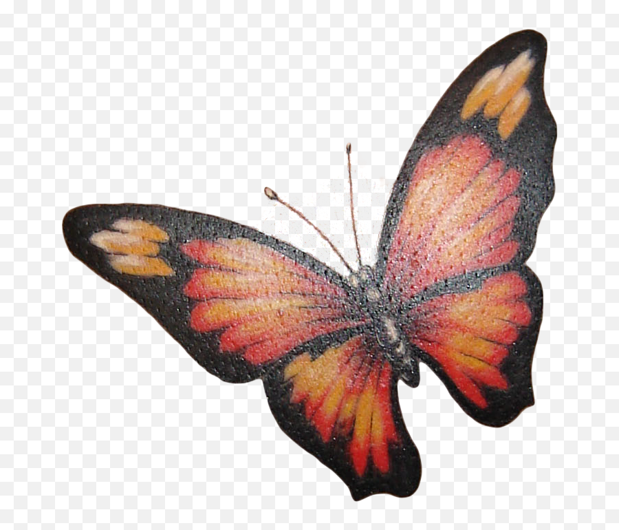 Download Hd Butterfly Tattoo Png Image - Tattoo For Girls Png,Butterfly Tattoo Png