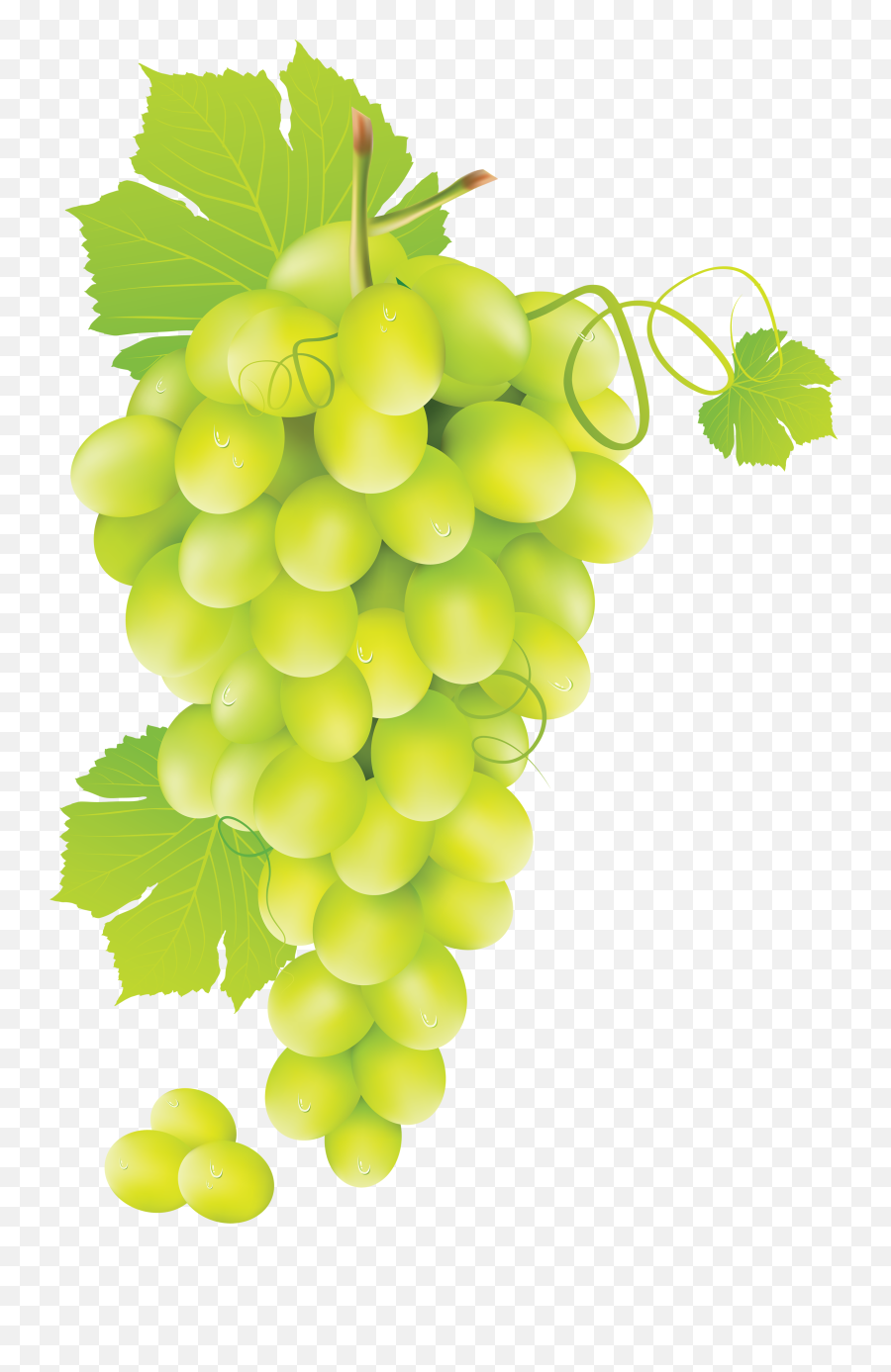 Green Grapes Png Image For Free Download - Green Grapes Png,Grapes Png