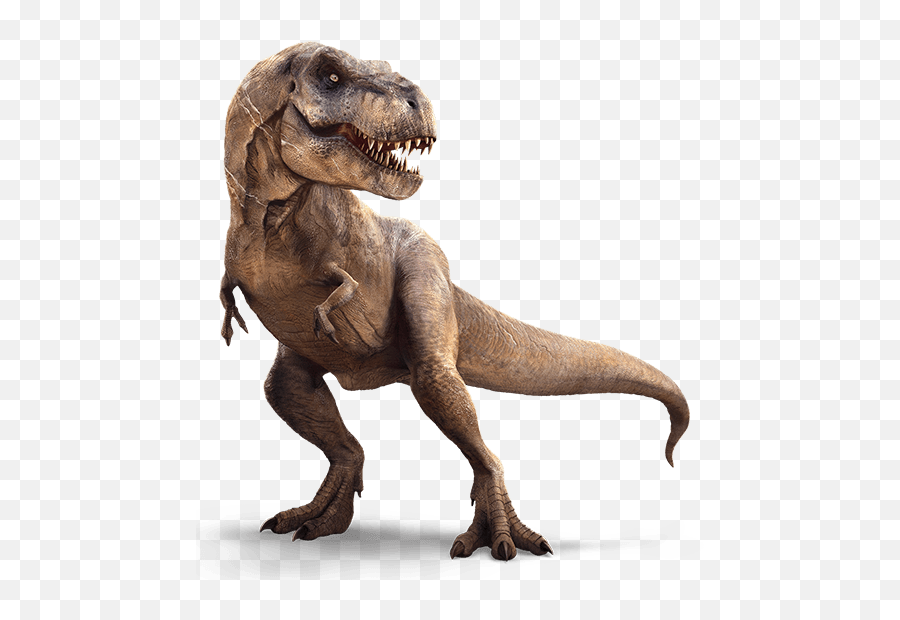 Tyrannosaurus - Tyrannosaurus Rex Png,Tyrannosaurus Rex Png