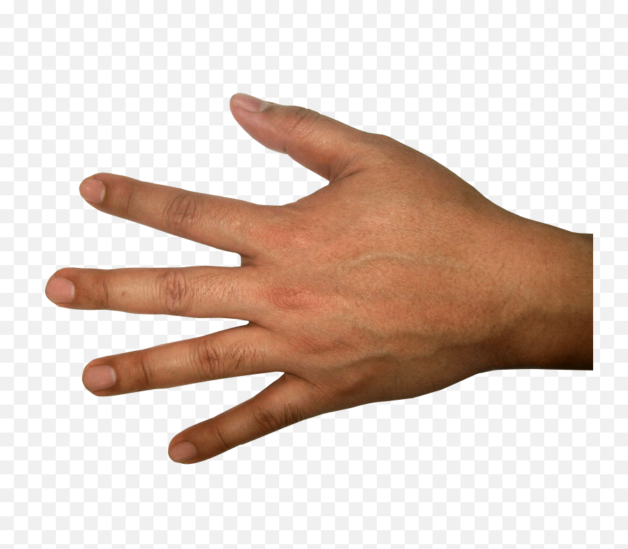 Back Of Hand Png Picture - Back Of Hand Png,Back Of Hand Png