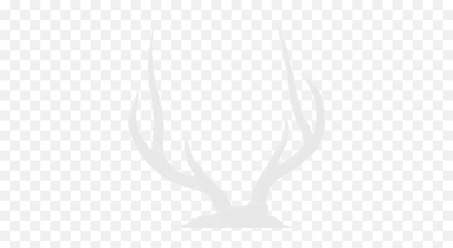 Trophy Rusa Deer Hunting - Elk Png,Hunting Png