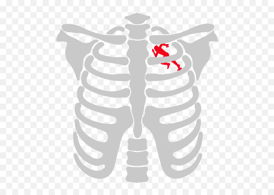 Download Color Changing Mug Running In Heart Skeletons - Camiseta Radiografia De Bebe Png,Skeletons Png