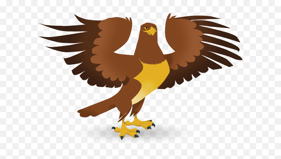 Golden Eagle - Hawk Png,Golden Eagle Png