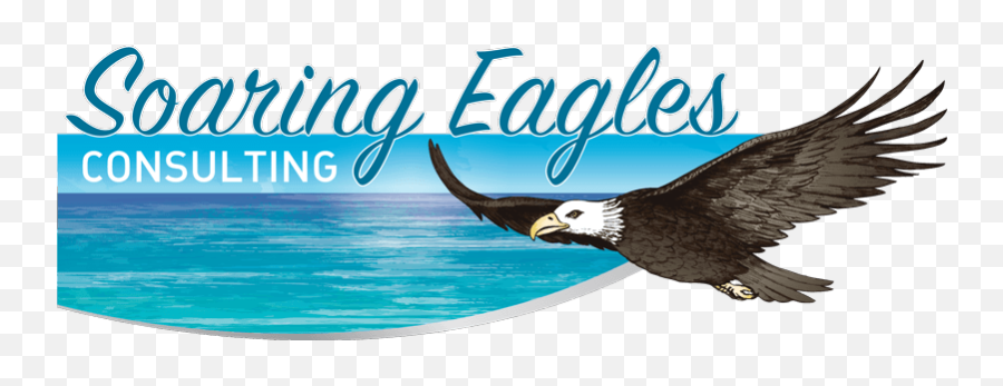 Social Support Programs - Bald Eagle Png,Soaring Eagle Png