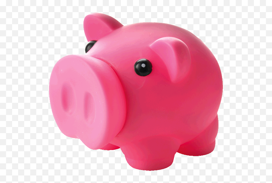 Piggy Bank With Nose Stopper Brandco Enterprises - Domestic Pig Png,Piggy Bank Transparent