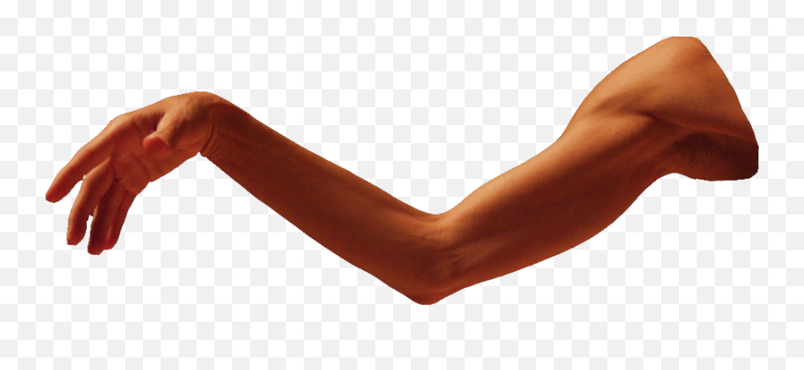 Arm Png Download Image - Arm Png,Muscle Arm Png