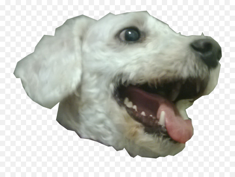 Dog Head Png 1 Image - Transparent Dog Head Png,Dog Head Png