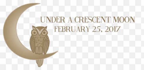 Large - Banner Png,Owl Logo