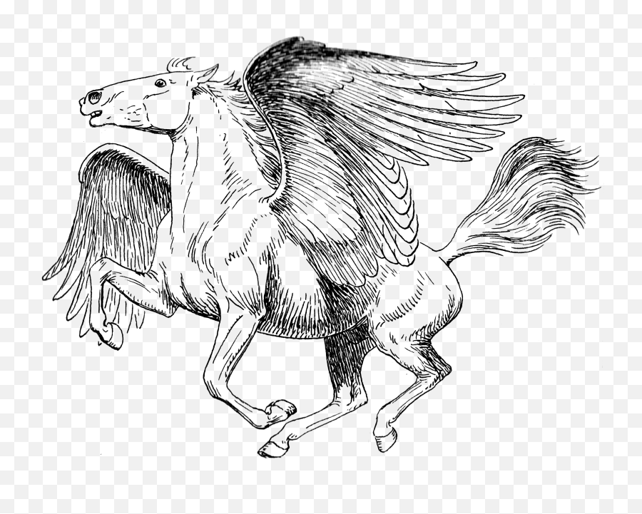 Mythology Png Images Transparent Free - Realistic Pegasus Coloring Pages,Myth Png