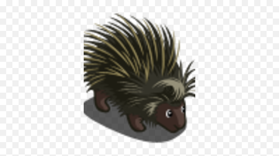 Porcupine - Echidna Png,Porcupine Png