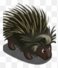 Porcupine - Echidna Png,Porcupine Png