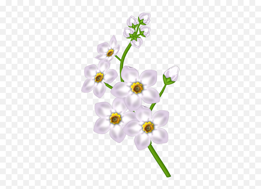Flower Floral Design - White Flower Transparent Clipart Png Good Morning Messages Marathi Download,Flowers Clipart Transparent Background
