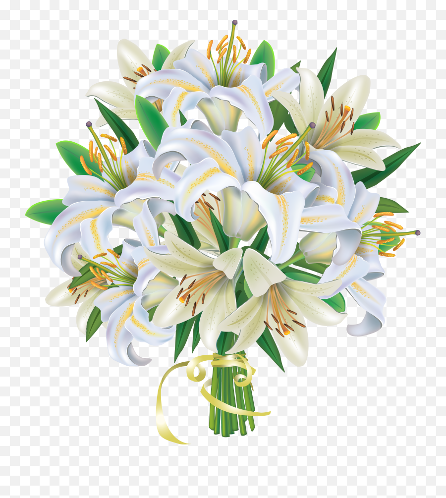 White Lily Png No Background U0026 Free - Bunch Of White Flowers Png,White Flowers Transparent Background