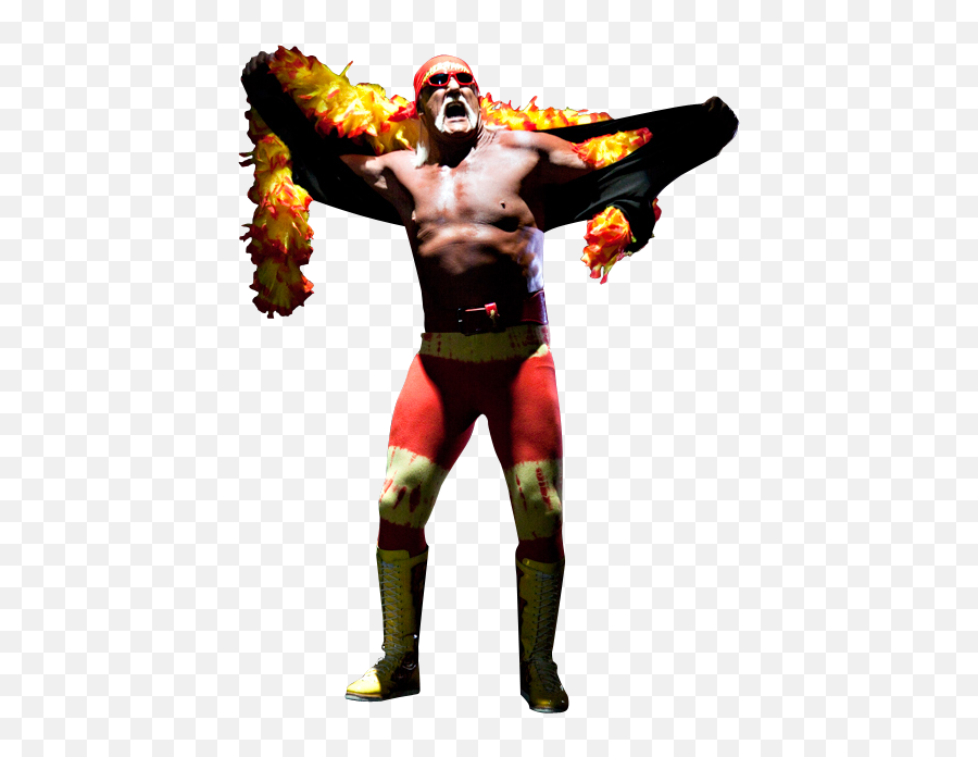 Index Of Pnghalk Hogan - Hulk Hogan,Hulk Hogan Png