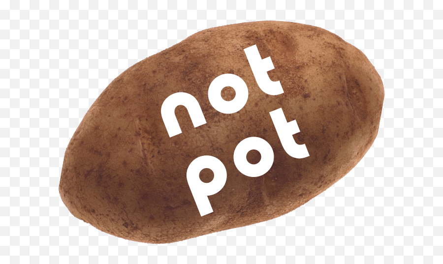 Not Potato - Potato Png,Potato Png Transparent