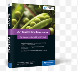 Cover Of Sap Master Data Governance - The Comprehensive Guide To Mdg png