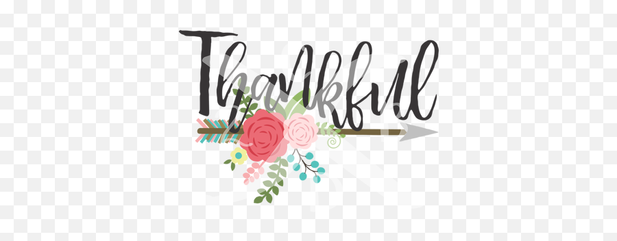 Thankful W Arrow Transfer - Garden Roses Png,Thankful Png