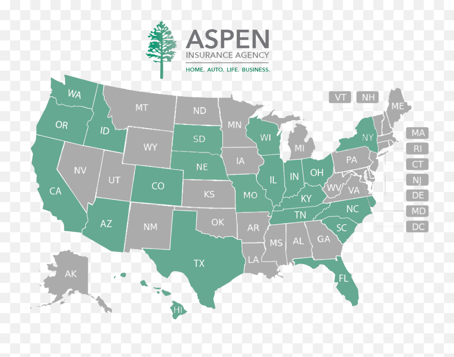 Our Partners Aspen Insurance Agency - Cbd Legal Png,Aspen Tree Png