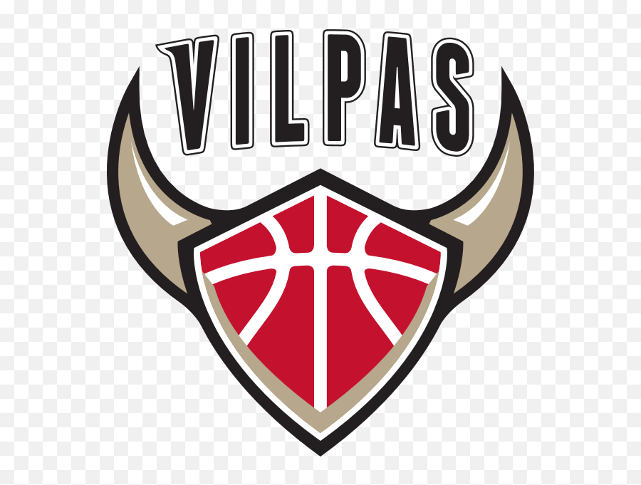Logo - Vilpas Png,Vikings Folder Icon