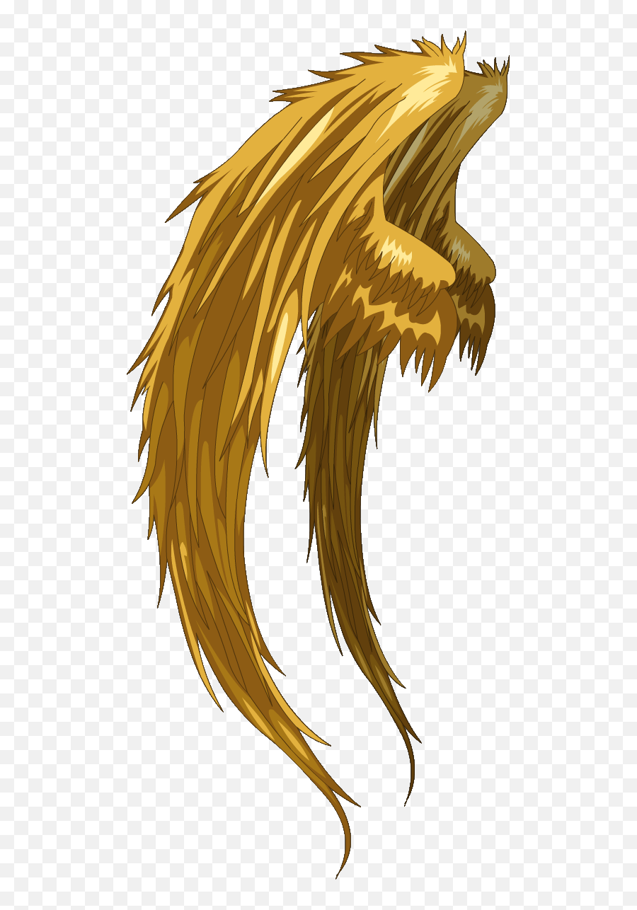 Capes U0026 Wings Dragonfable Wiki Fandom - Anime Phoenix Wings Png,Wings Png Transparent