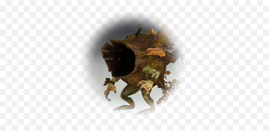 Bdo Tree Hermit Bddatabasenetusnpc21721 - Bdo Tree Hermit Npc Png,Evasion Icon