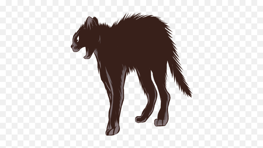 Black Cat Scared - Transparent Png U0026 Svg Vector File Hog Nosed Skunk,Scared Png