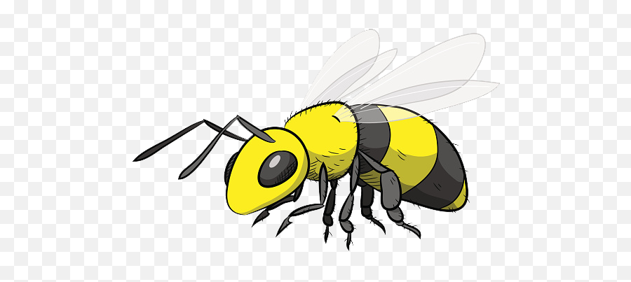 Registration Information - Hornet Cartoon Png,Bee Icon League