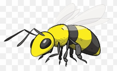 Registration Information - Hornet Cartoon png